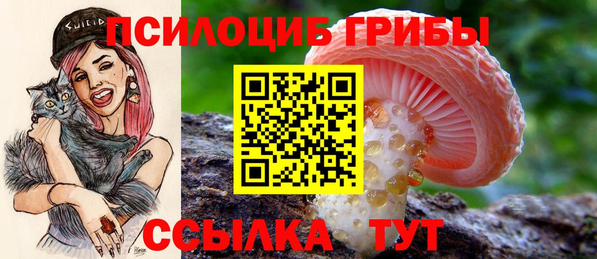 Псилоцибиновые грибы Cubensis  Псилоцибиновые грибы ЛСД  Нижнеудинск  Вход с VPN 